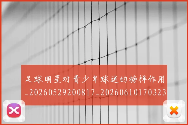 足球明星对青少年球迷的榜样作用_20260529200817_20260610170323